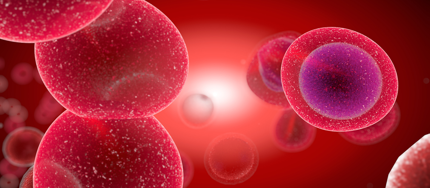 Cells fighting cancer