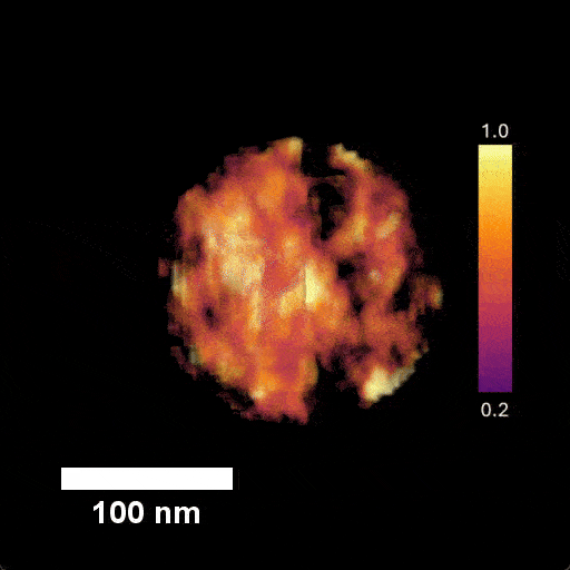 Electron microscopy resolves a 3D packing domain—the physical “memory node” of the human genome.
