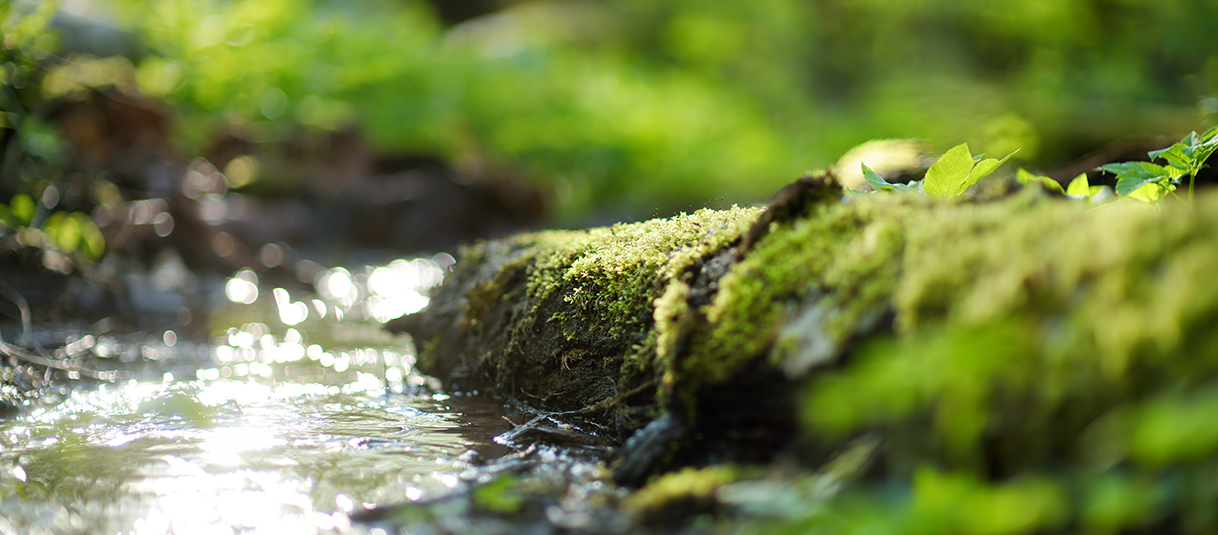 Water