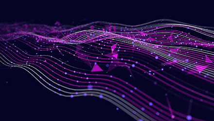 Quantum network