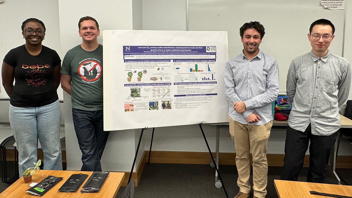 Low-Cost Co₂ Sensing Enables Identification of Photosynthesis Mode and Their Genetic Drivers In Coleus amboinicus (Lamiaceae)