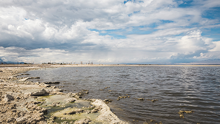 Salton Sea