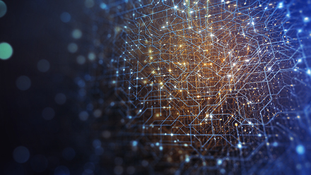 Quantum network