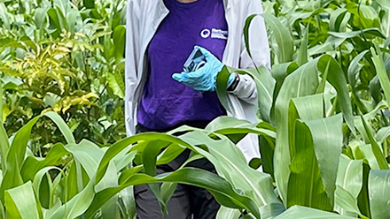 agriculture
