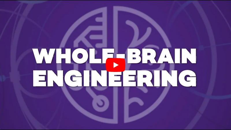 Whole-brain Engineering