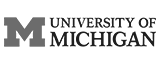 Michigan Logo