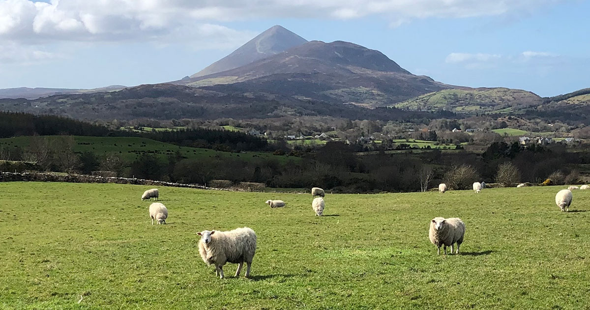 Teaching While Stranded in Ireland | Inside Our Program | Master of