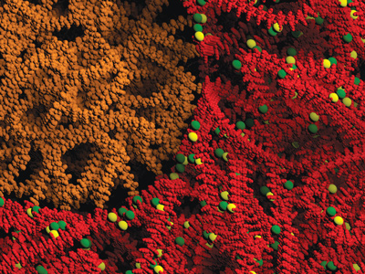 Block copolymers self-assemble into nanostructures that both enable ion charge transport while maintaining structural integrity, making them a leading material for use as ion conductors.