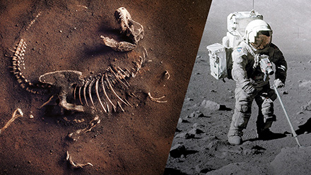 Split image dinosaur bones and astronaut