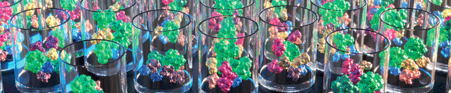 Synthetic bacteria models in clear plastic cups
