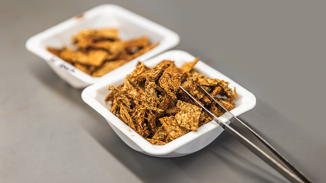 Professor Vinayak Dravid’s team has developed reusable, low-cost sponges that can improve water cleanup efforts. Coated with nanoparticles, the sponges have a high affinity for pollutants.