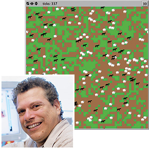 Wolves, sheep, and grass are the agents in Uri Wilensky's NetLogo environment. The simulation plays out the interactions among the three agents, showing how their activities unfold over time.