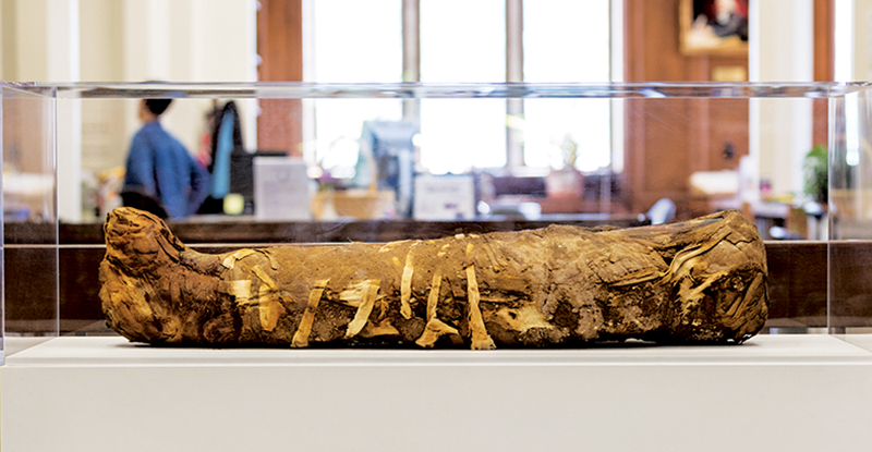 Mummy on display at the Garrett-Evangelical Theological Seminary.