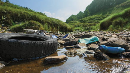 Plastic waste in a valley stream