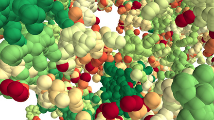 visualization of chromatin