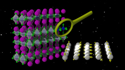 image of egg packaging stacked with magnifying glass inspecting it