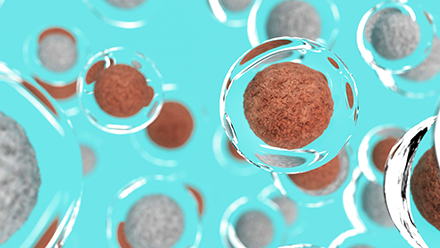 engineered human cells