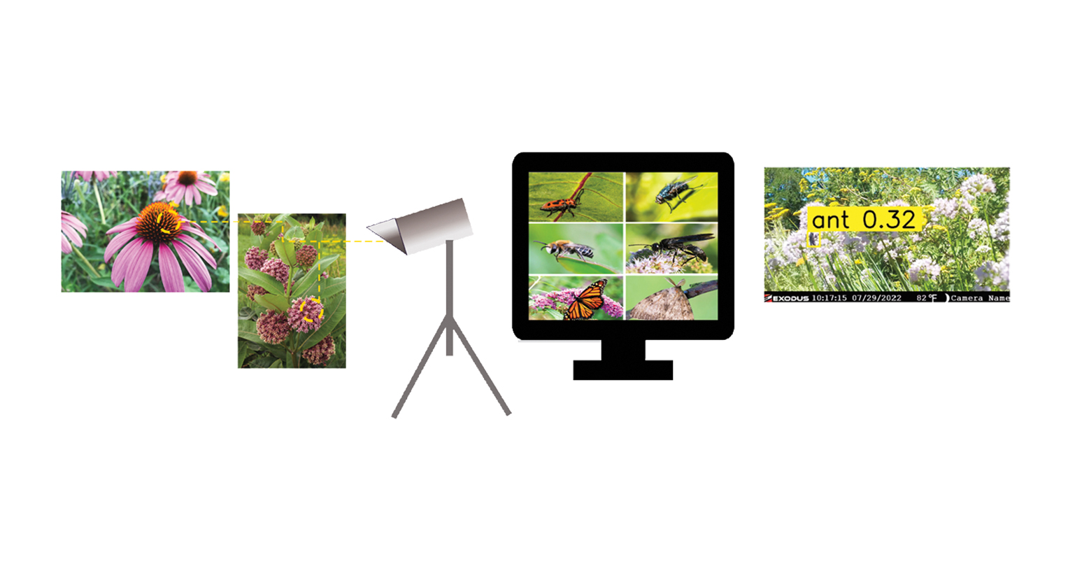 After collecting field data— such as water storage and pollinator activity— from nearby rain gardens and prairie environments, Kimberly Gray and her team pre-processed the data and then applied machine-learning techniques, which revealed the rain gardens that function most like a natural system and why.