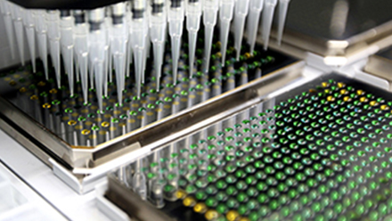 Multi-channel pipettes dispensing liquid into multiwell plates 