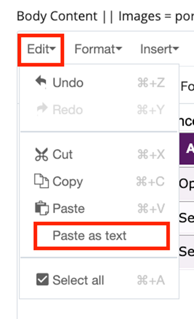 Paste as text function in the WYSIWYG