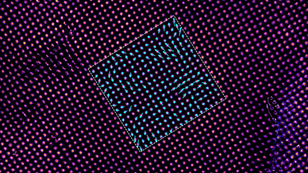 Rendering of microscopic image
