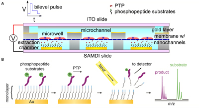 Diagram of a microfluidic device
