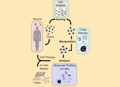 Integrating engineering technologies for personalized medicine (H.D. Espinosa, J. Kessler, and P. Mukherjee) 