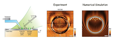 Diagram of Near-field Scanning Optical Microscopy (NSOM) of complex plasmonic fields