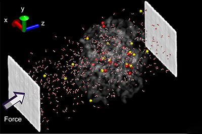 Molecular dynamics of water transport through a nanofiltration membrane (R. Lueptow, S. Keten)