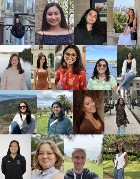 Collage with SWE members