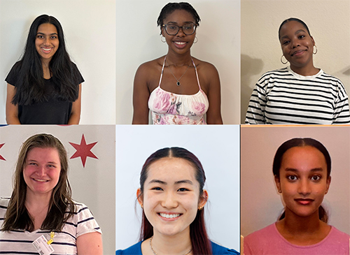 Collage of headshots of TPED members