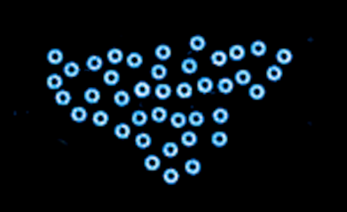 A collection of 10-micron spheres dance together due to Quincke oscillations powered by a DC electric field. 