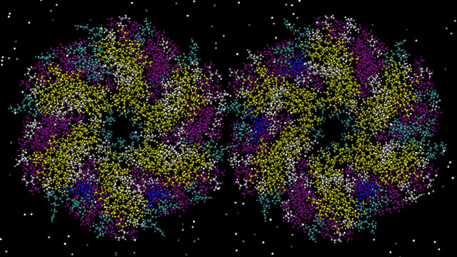 Computational image of a bacterial microcompartment