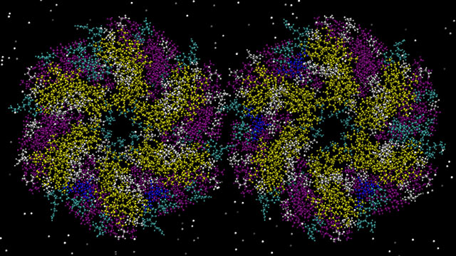 Computational image of a bacterial microcompartment