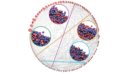 Granular dynamics