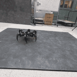 Harrison Bounds' custom-built hexapod project