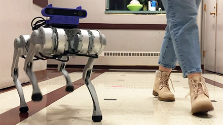 a quadruped robot walking