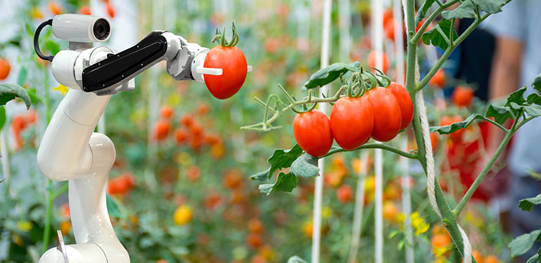 Food And Agriculture Overview Master Of Science In Robotics