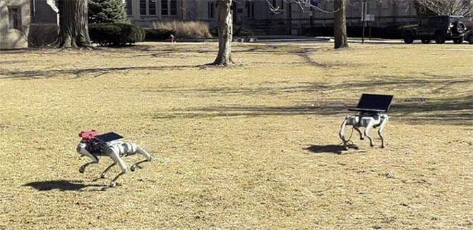 autonomous quadrupeds