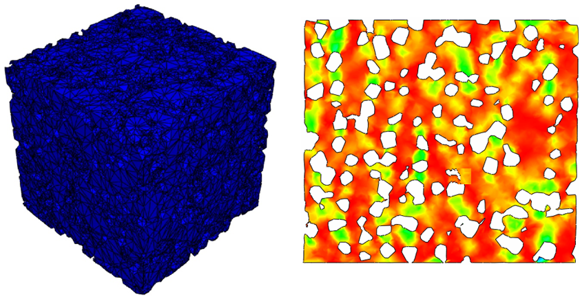 3D modeling (and a 2D slice) of a porous NiTi alloy developed for use as bone implants.
