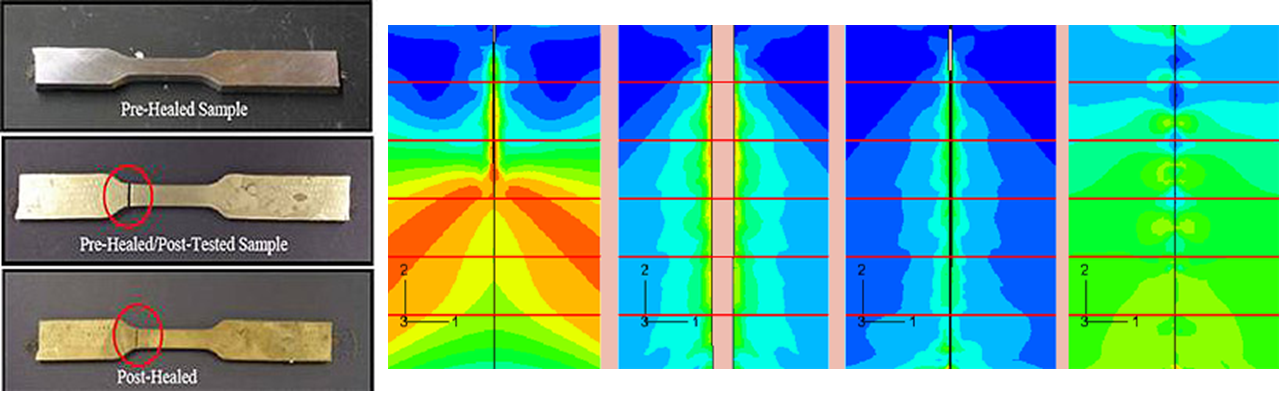 Self-healing SMA composite- crack propagation & healing modeled by Brinson group, sample manufactured by Olson group.